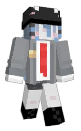 Minecraft skin — Classic model