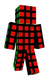 Skin preview