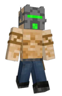 Front of TWT66's skin