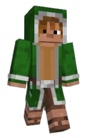 Skin preview
