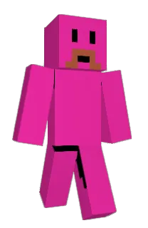 Front of MarioGamer24's skin