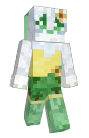 Skin preview