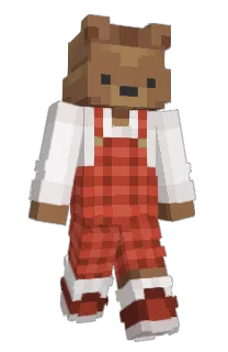 Front of REZA's skin