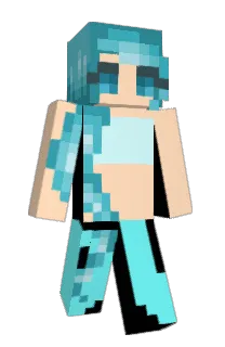 Front of NarrowSteam's skin