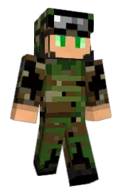 Skin preview
