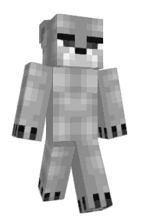 Front of manngus's skin