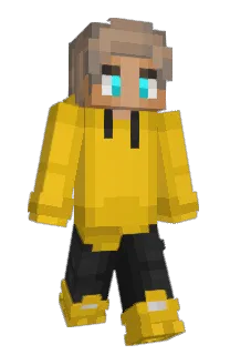 Front of PigPro28's skin
