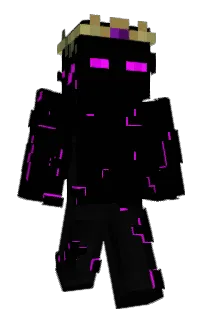 Front of Edilsalami's skin