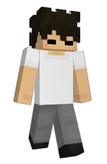 Front of desticade's skin