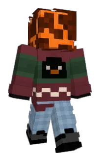 Front of Harsha's skin
