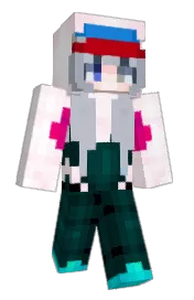 Skin preview