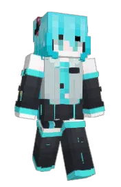 Skin preview
