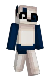 Front of atat's skin
