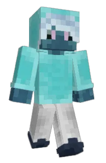 Front of C20WD's skin