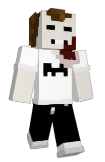 Front of BalleBashur's skin