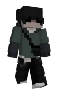 Front of Gustarte's skin