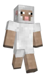 lanyy998's Minecraft skin wearing the Common cape