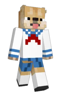 Front of NiceYiff's skin