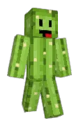 cactusidk