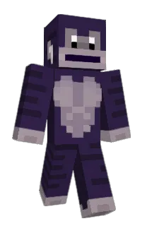 Front of hhns's skin