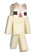 diveser