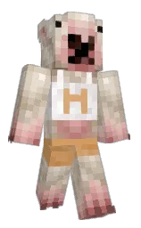 Regular__Guy's Minecraft skin wearing the Migrator cape