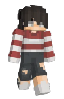 Front of wonderfool's skin