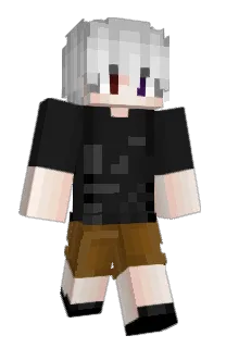 Front of Vanelsonza's skin