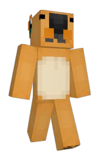 Front of tyO_O's skin