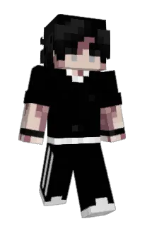 Front of Fz3h's skin