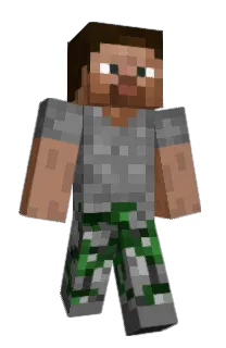 Front of fartanious's skin