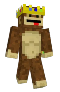 Front of Ninjawalrus21's skin