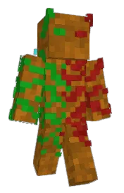 Skin preview