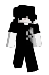 Front of Consygned's skin