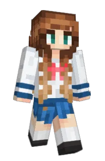 minetours's Minecraft skin