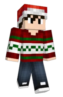 erik011's Minecraft skin