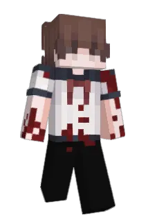 6maxi9 Minecraft avatar full body