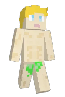 6p55 Minecraft avatar full body