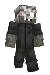 6rowl Minecraft avatar full body