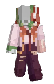 Front of SalmonEarth755's skin