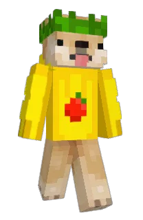 Front of Minecraft skin