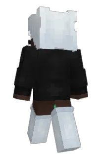 Front of setsketch's skin