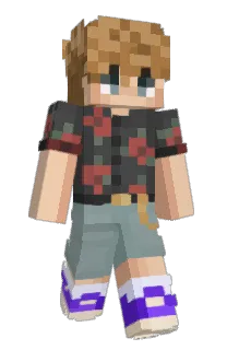 Front of Sickootje's skin