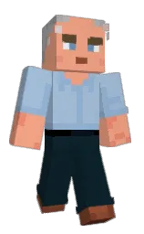 Minecraft skin — Classic model