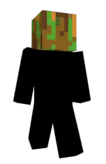 Front of 1etho's skin