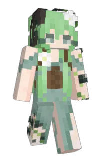 Front of shellc's skin