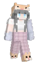 Minecraft skin — Classic model