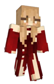 Front of akira47's skin