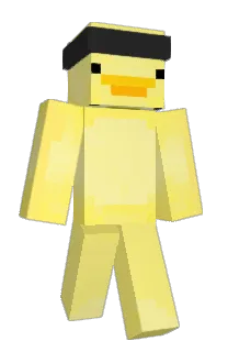 Front of skaczacydzik's skin