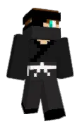 VINfire